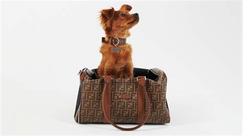 Fendi Unveils a Luxe New 'Pet Travel Line' for Your .